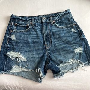 American Eagle 90s Boyfriend Short